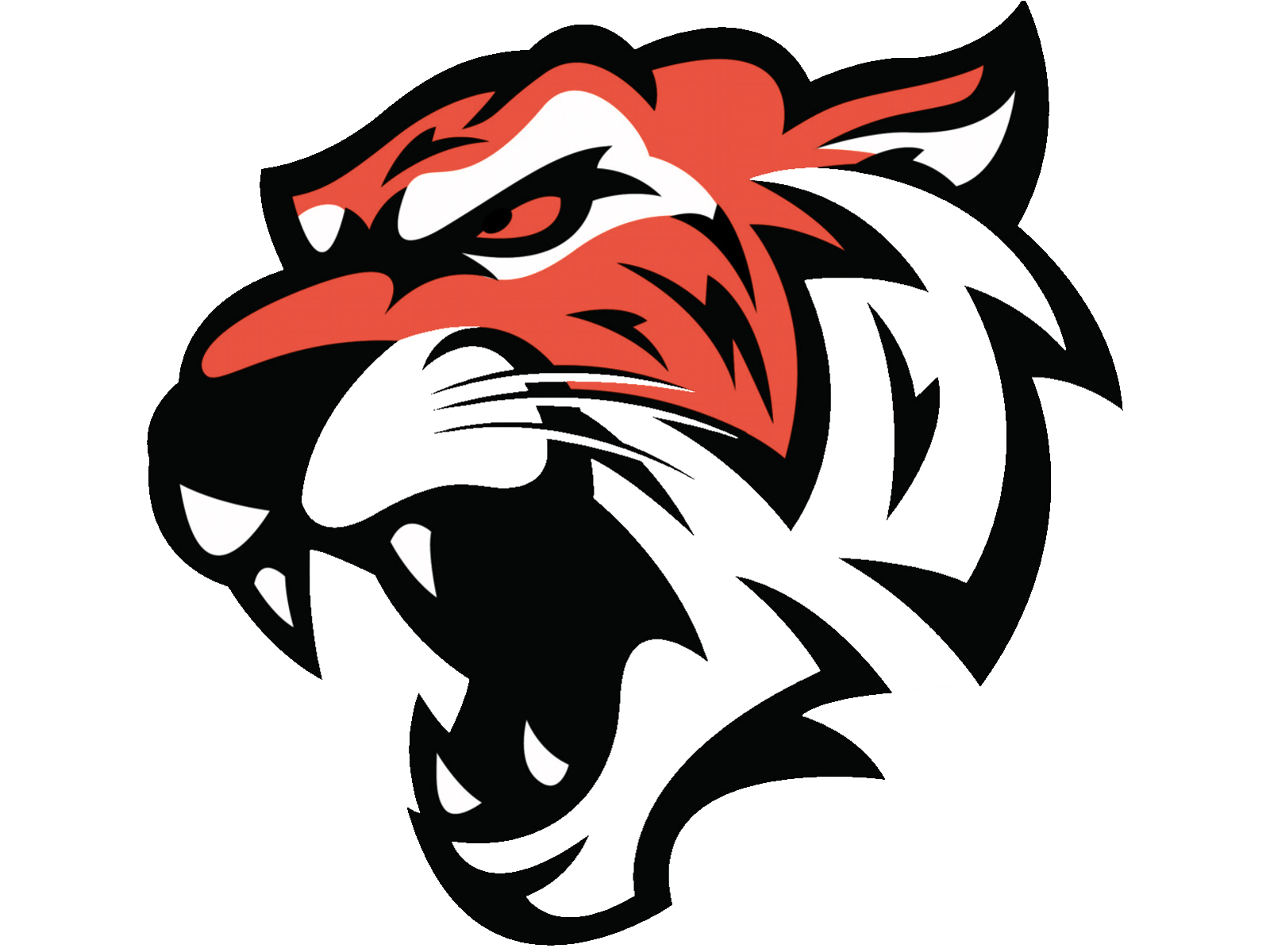 2024_Bengals_Logo.png