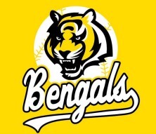 Bengals_HL_2.jpg